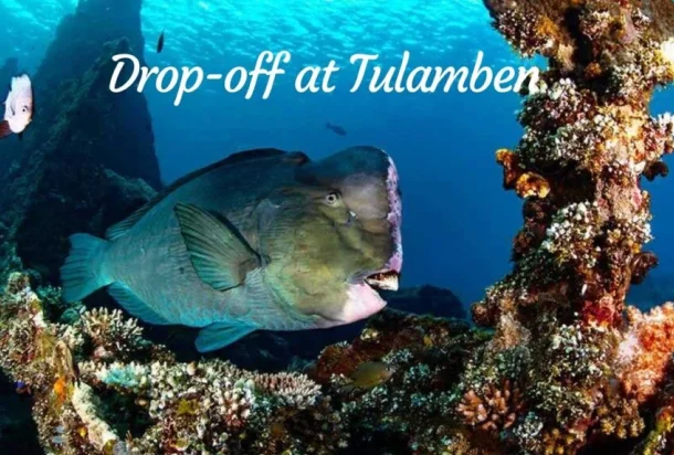 Drop-off at Tulamben Drop-off at Tulamben